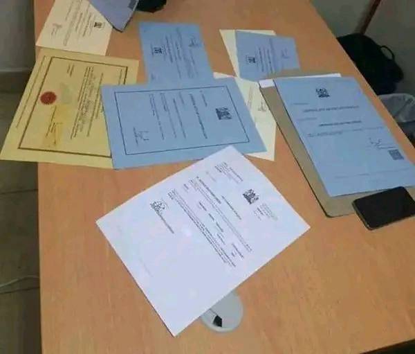 471428911 1632349617719077 8493321236437600523 n